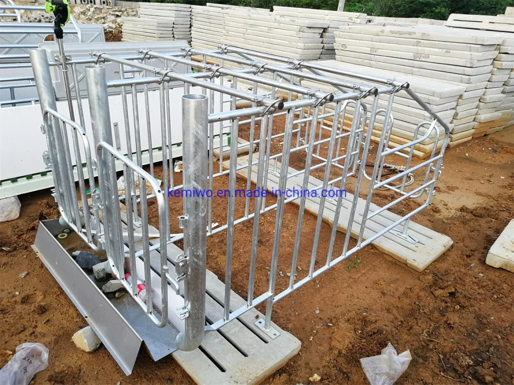 Single Crate Limited Crate/Pen/Stall Sow Gestation Crate