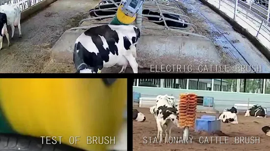 Sturdy Construction Rubbing Post for Outdoor Use Comfort Cattle Brushes