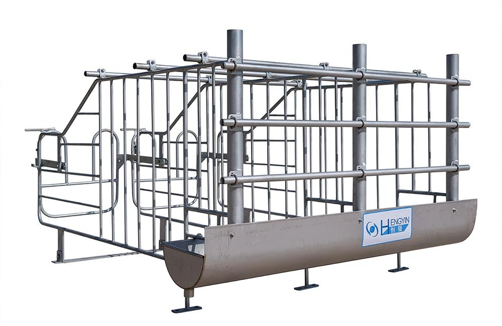 Stall Gestation Crates for Pigs	Galvanized Gestation Pen
