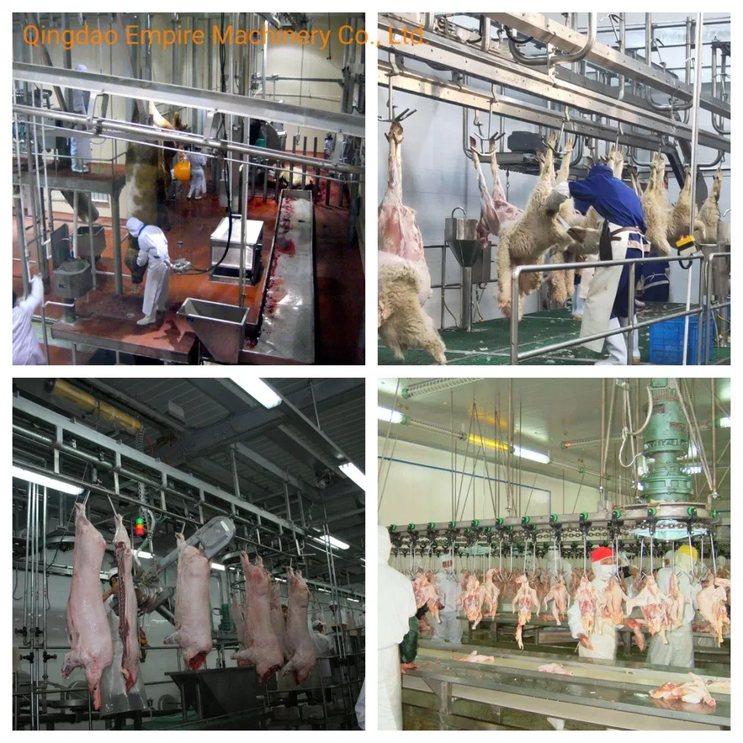 Hot Sell Pig Carcass Cleaning Washing Machine Slaughtering Equipment Used in Sheep Pig Farm