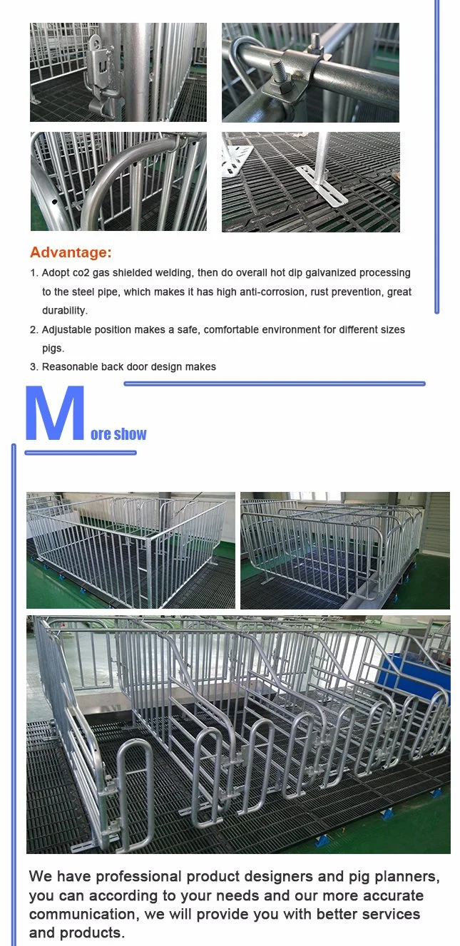 Pig Cage New Design Galvanized Gestation Crate for Sale