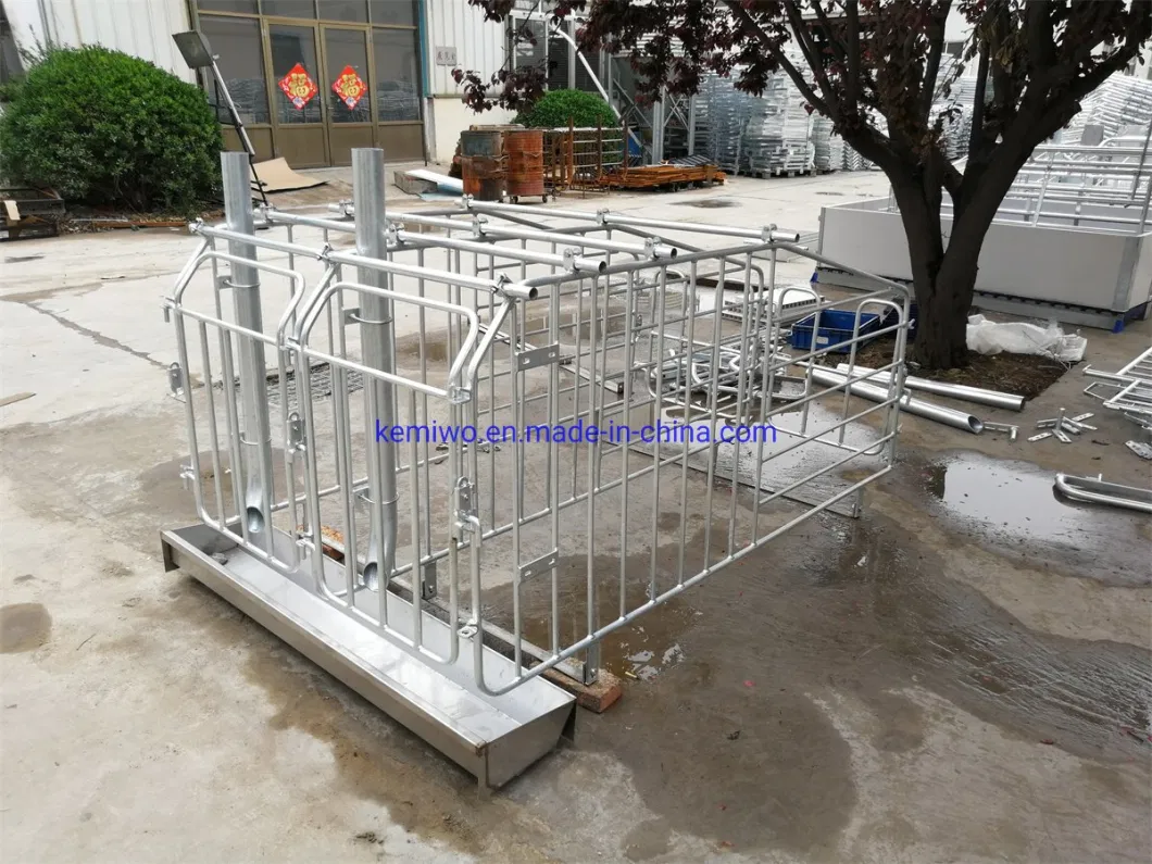Single Crate Limited Crate/Pen/Stall Sow Gestation Crate