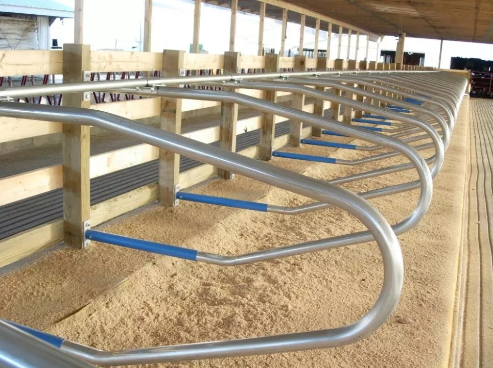 Cattle Farm Galvanized Free Stall Cattle Beef Cow Dairy Cow Cubicles Free Stall