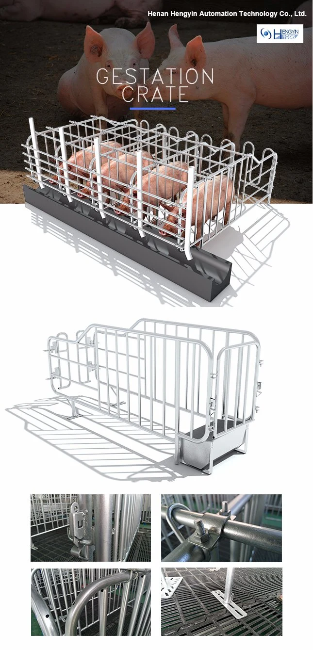 Pig Farm Equipment Pig Gestation Crates for Sows