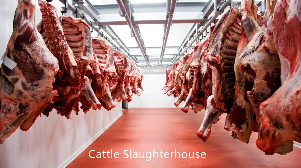 Automatic Cattle Slaughter Machine Sheep Slaughtering Equipment for Farm