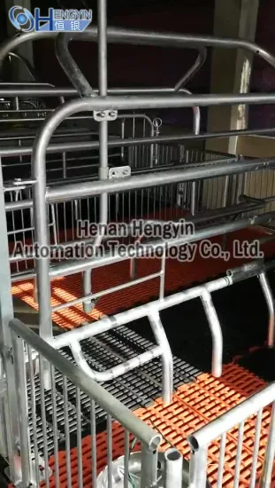Pig Farm Equipment/Pig Cages/Hot Galvanizing Gestation Crate