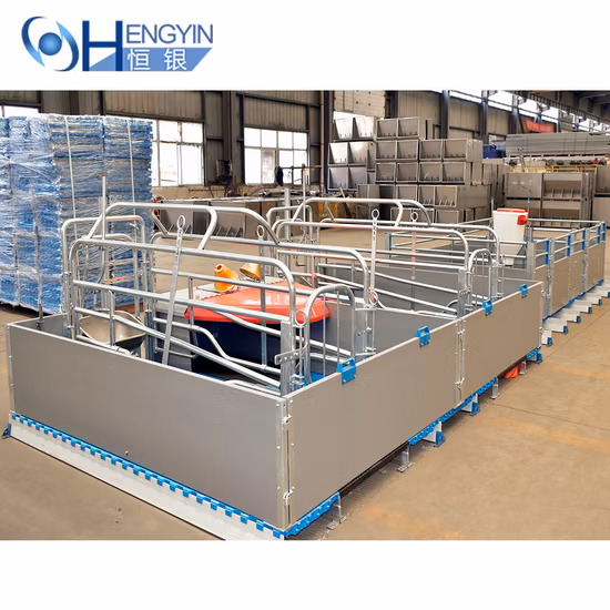 Hengyin Livestock Pig Farm Equipment Sows Farrowing Crate and Design Farrowing Crate