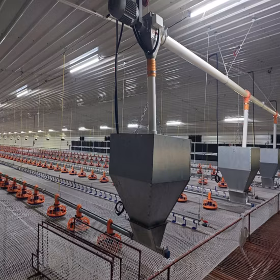 Automatic Poultry Feeding and Drinking System Breeding Equipment for Farm Poultry Ground Floor Raising Used for Guail/Cattle/Duck/Chicken with Robot/Fan Curtain