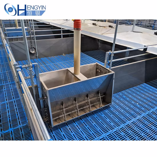 Automatic Feeder for Pigs Stainless Steel Pig Feeder Double Sided Feeding Trough