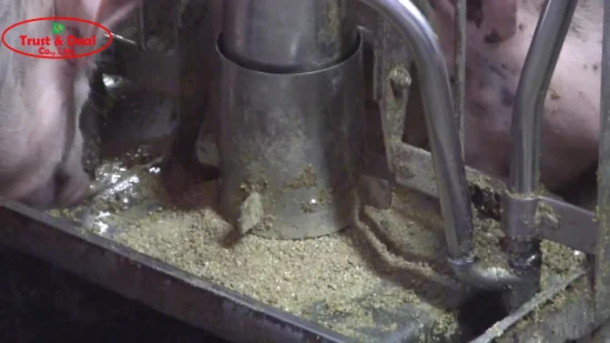 Stainless Steel Wet Dry Feeder Pig Feeder for Pig Farm Equipment Livestock Equipment