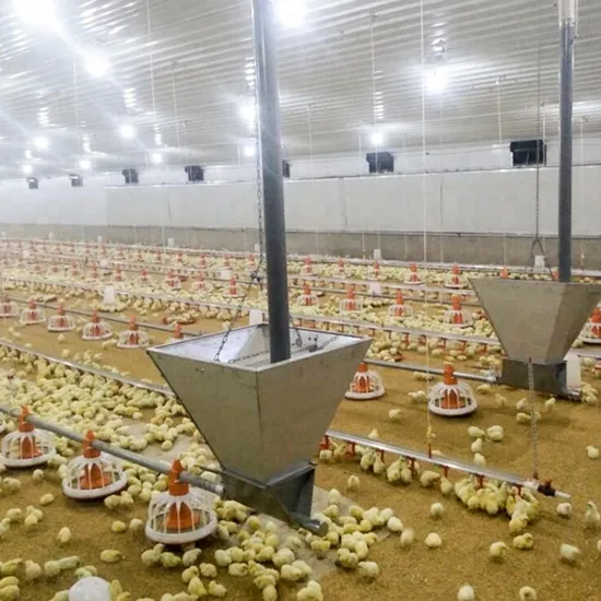 Mini Automatic Calf Milk Feeder Cattle Farm Livestock Equipment